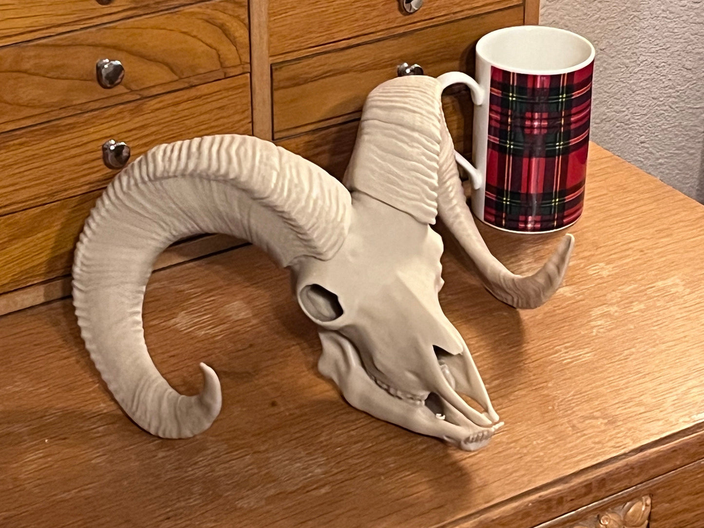 10 inch 3D Printed Bighorn Sheep Skull