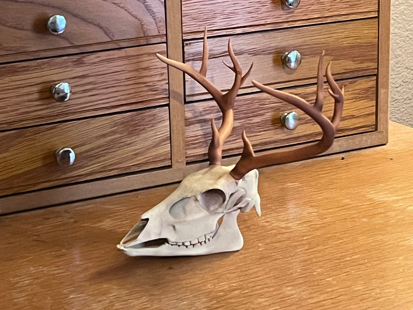 Hand Painted 3D Printed Deer Skull
