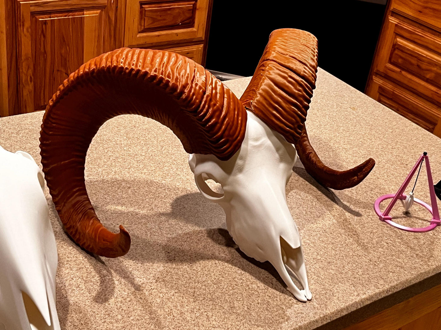 Large 3D Printed Bighorn Skull