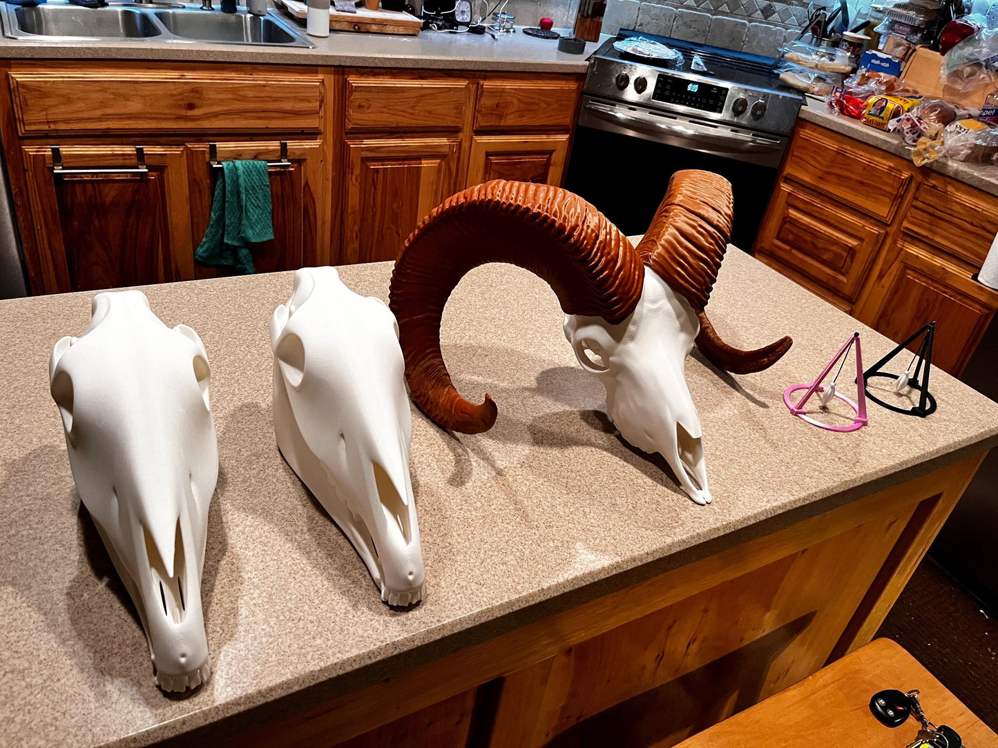 Large 3D Printed Bighorn Skull