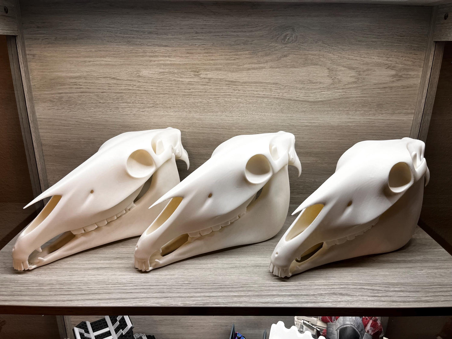 Extra Large 3D Printed Horse Skull