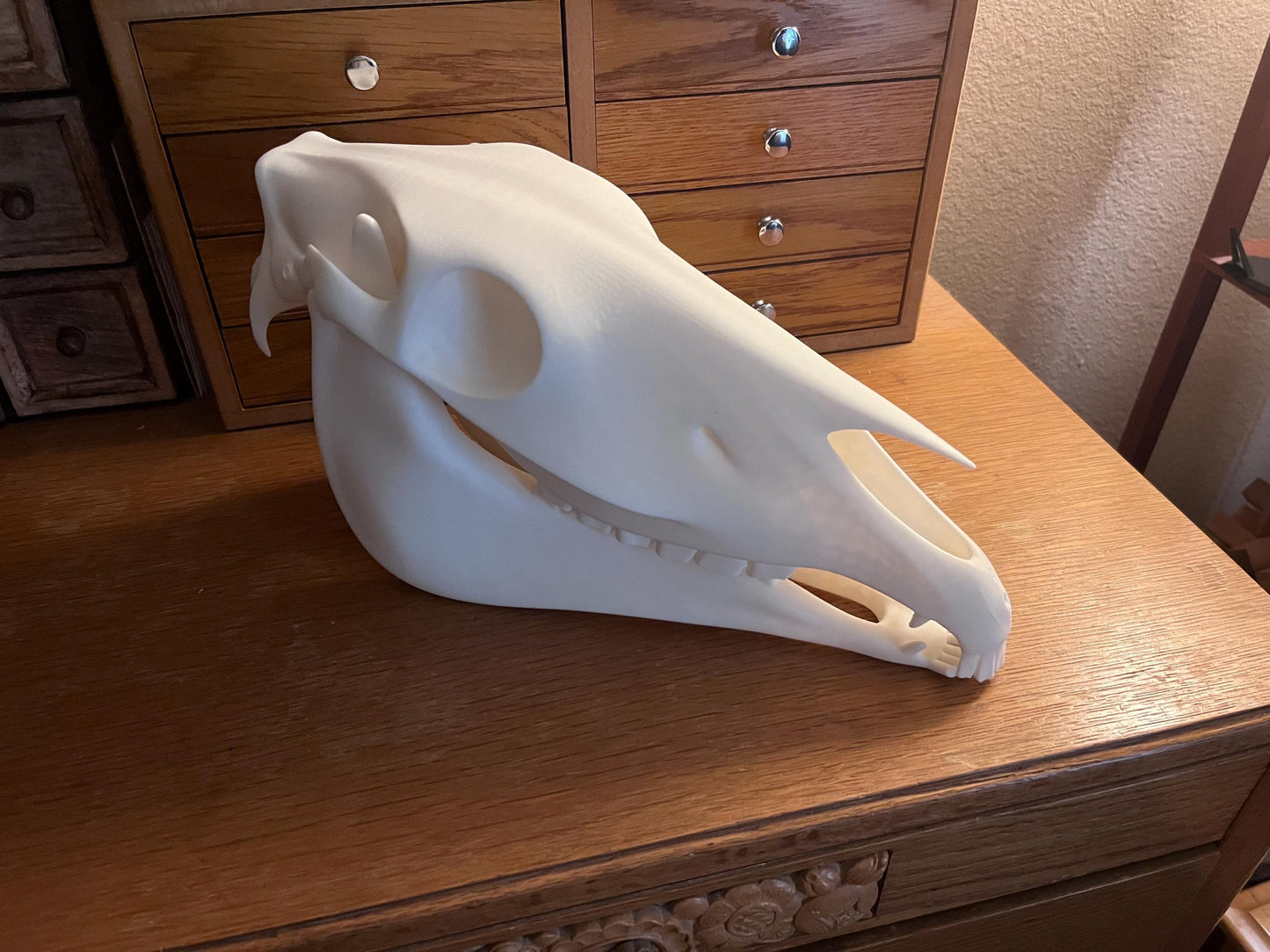 Extra Large 3D Printed Horse Skull