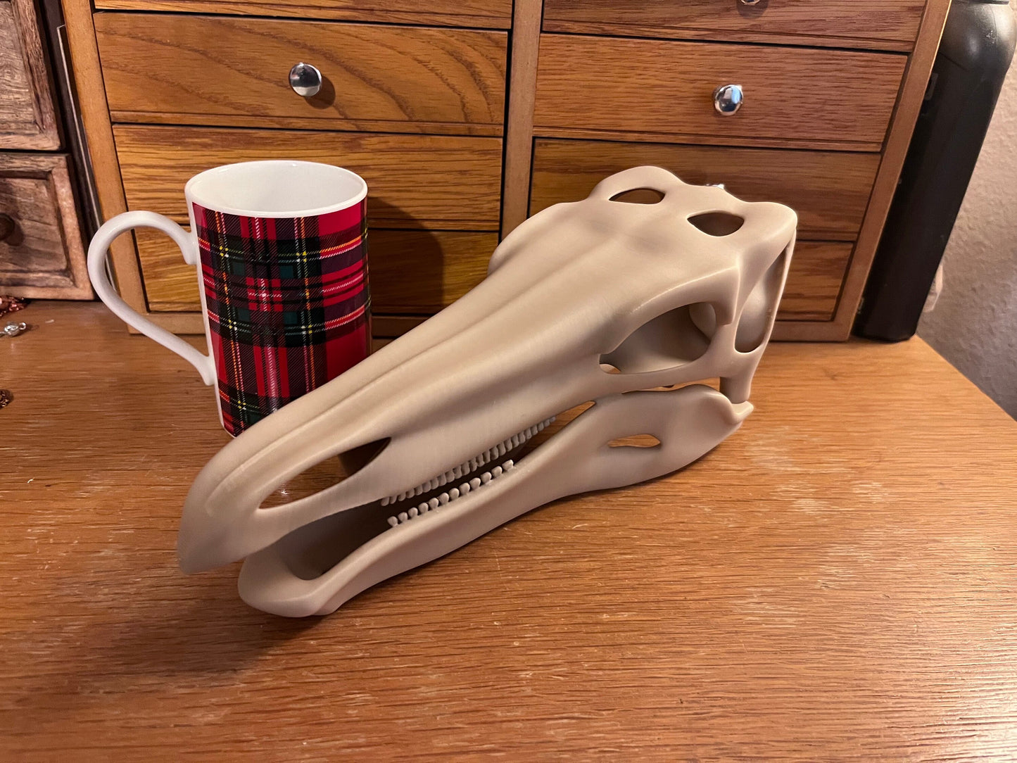 10 inch 3D Printed Stegosaur Skull