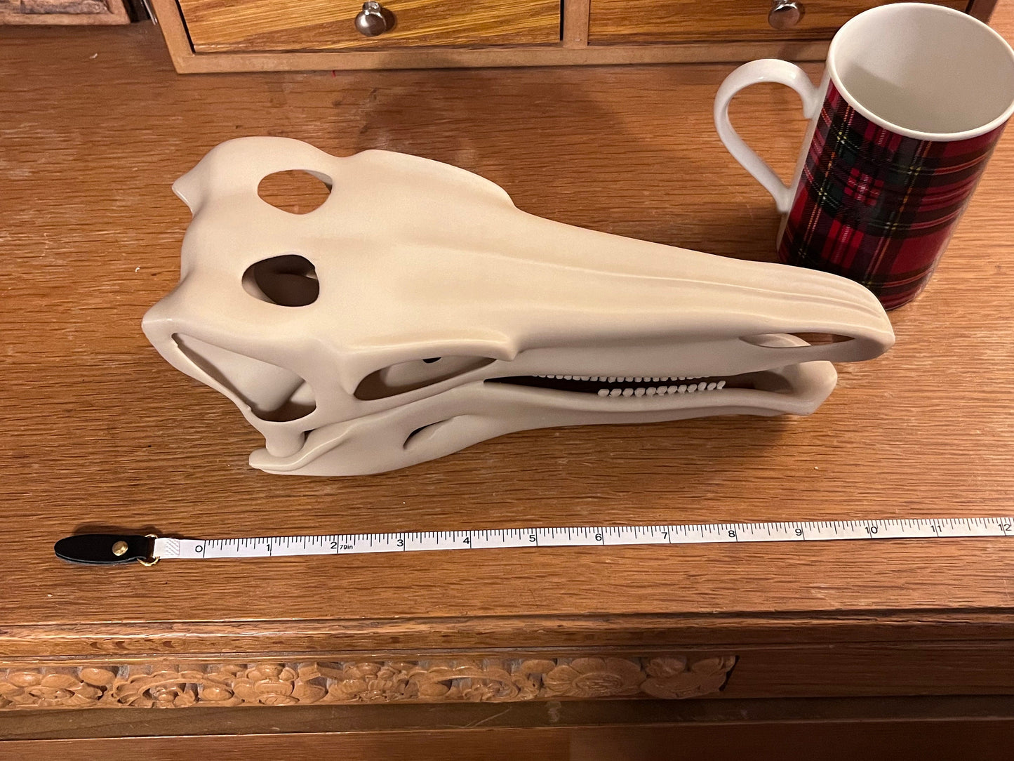 10 inch 3D Printed Stegosaur Skull