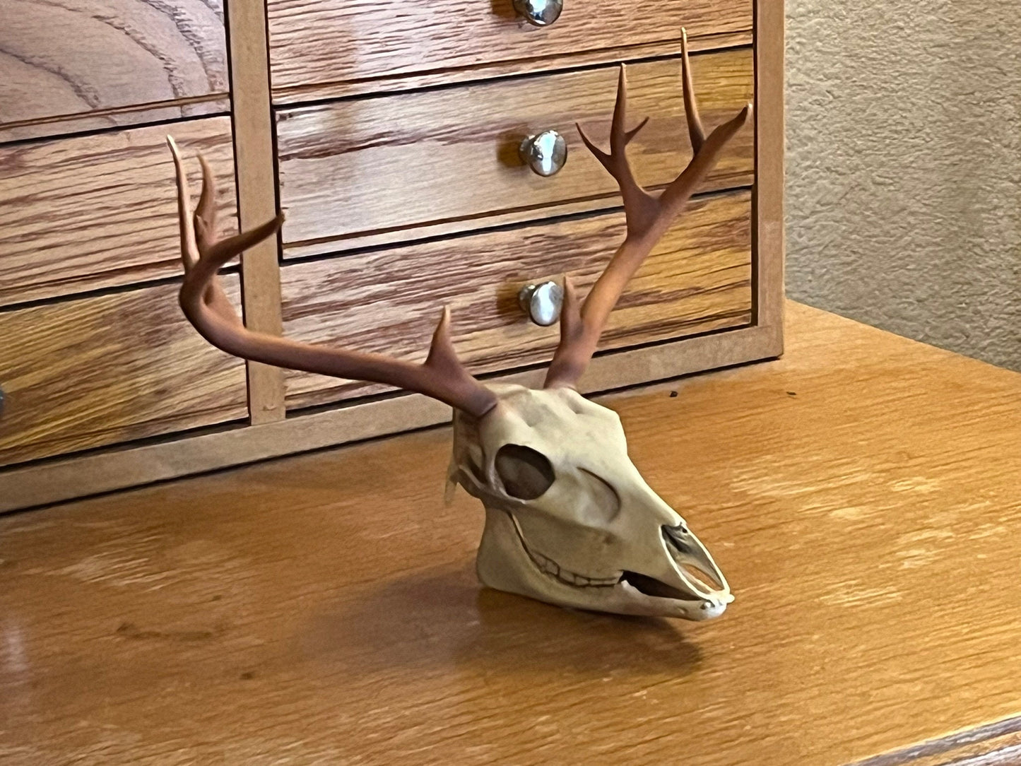 Hand Painted 3D Printed Deer Skull