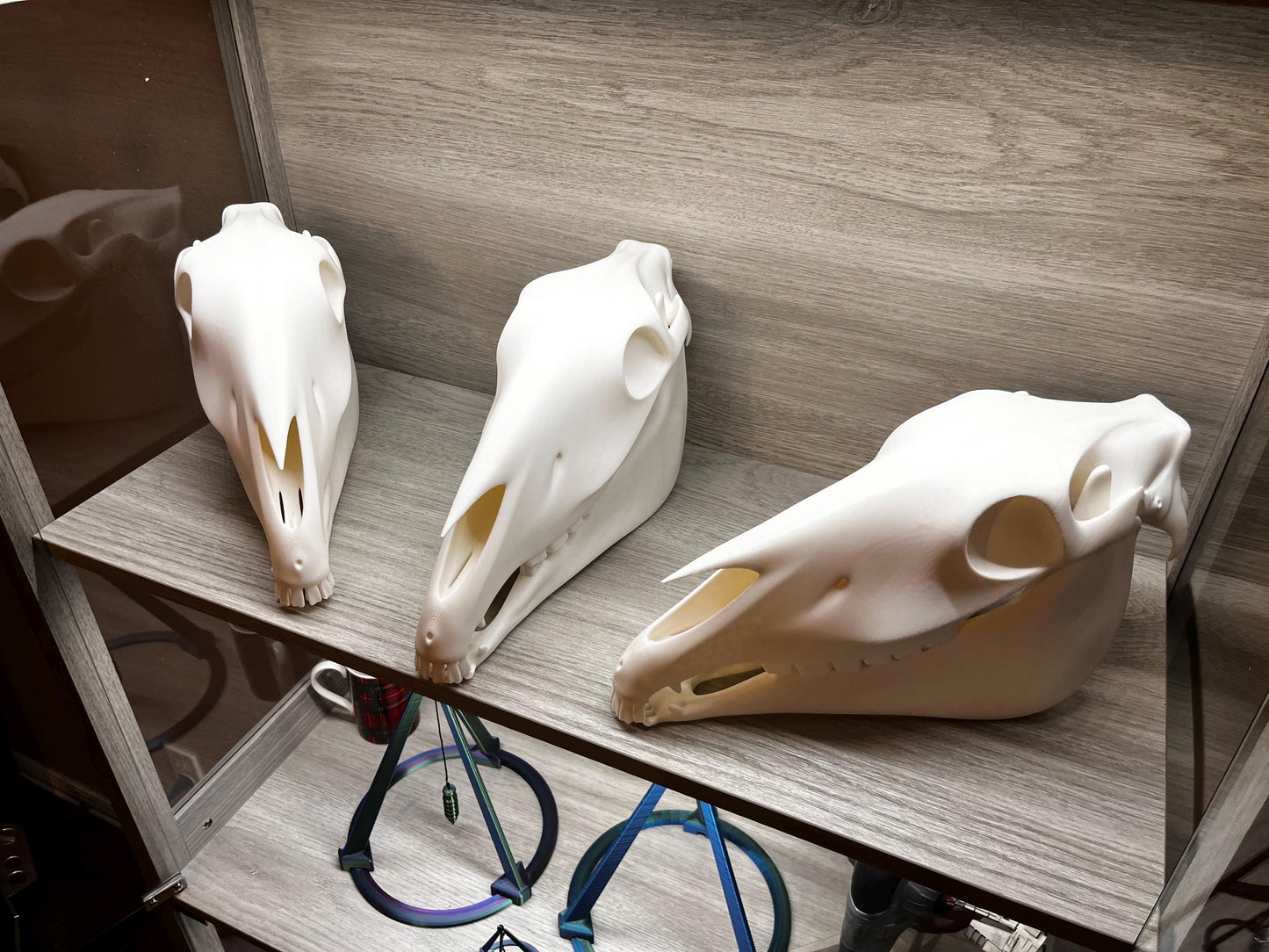 Extra Large 3D Printed Horse Skull