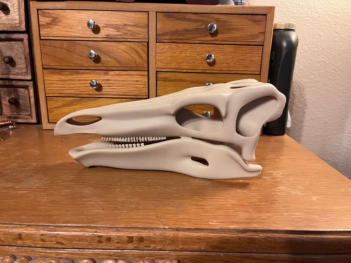 10 inch 3D Printed Stegosaur Skull