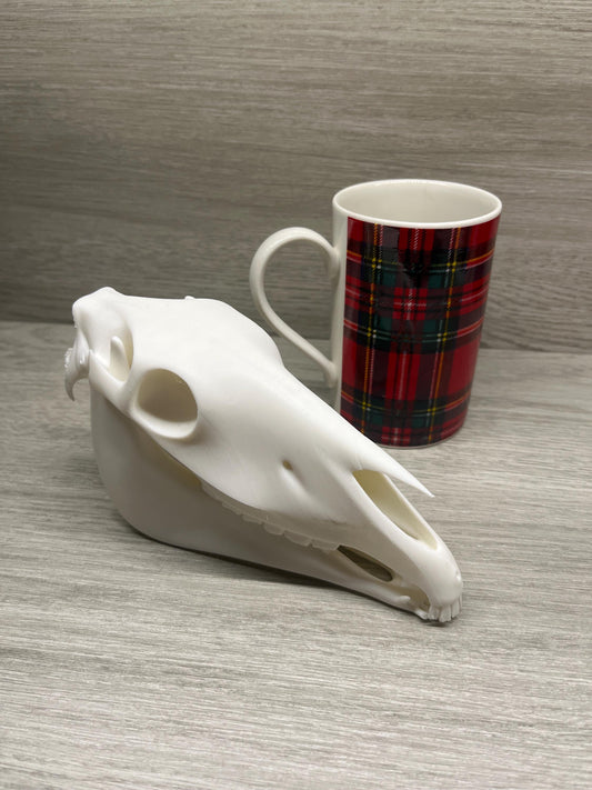 7 inch 3D Printed Horse Skull