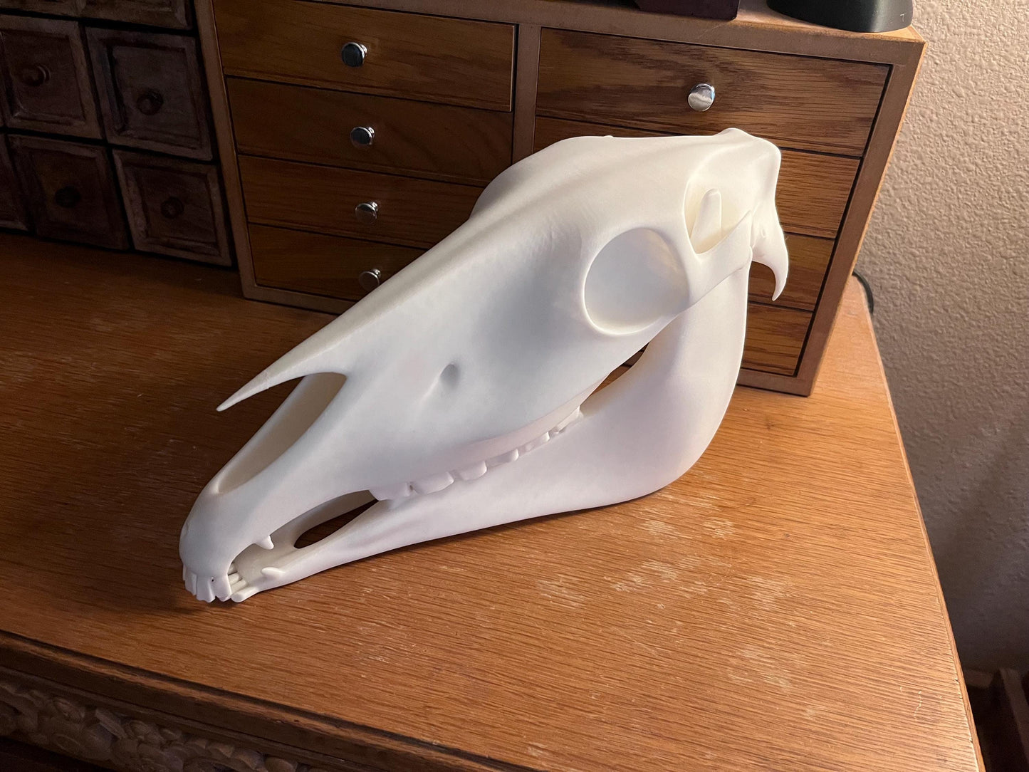 Extra Large 3D Printed Horse Skull