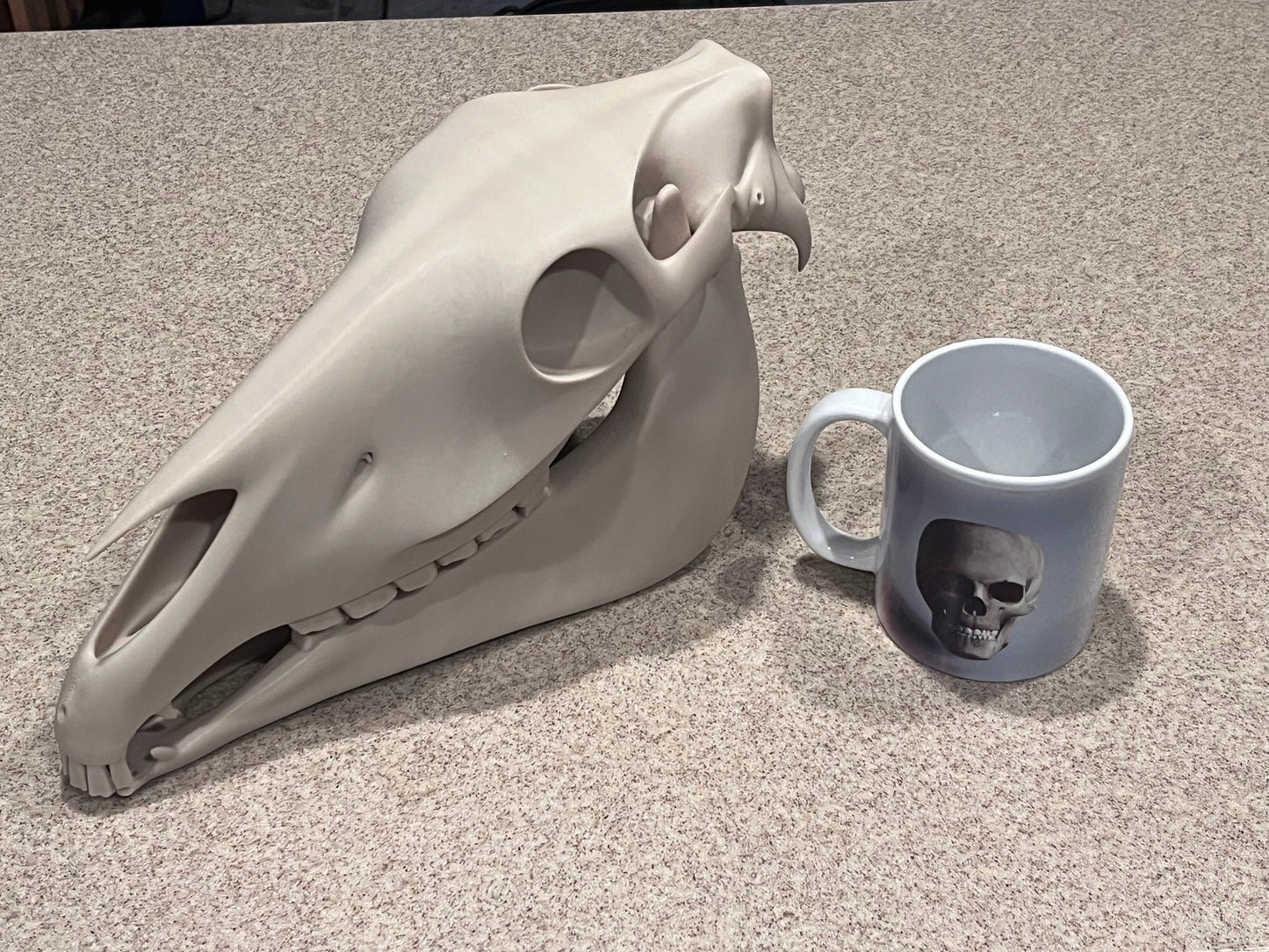 Extra Large 3D Printed Horse Skull