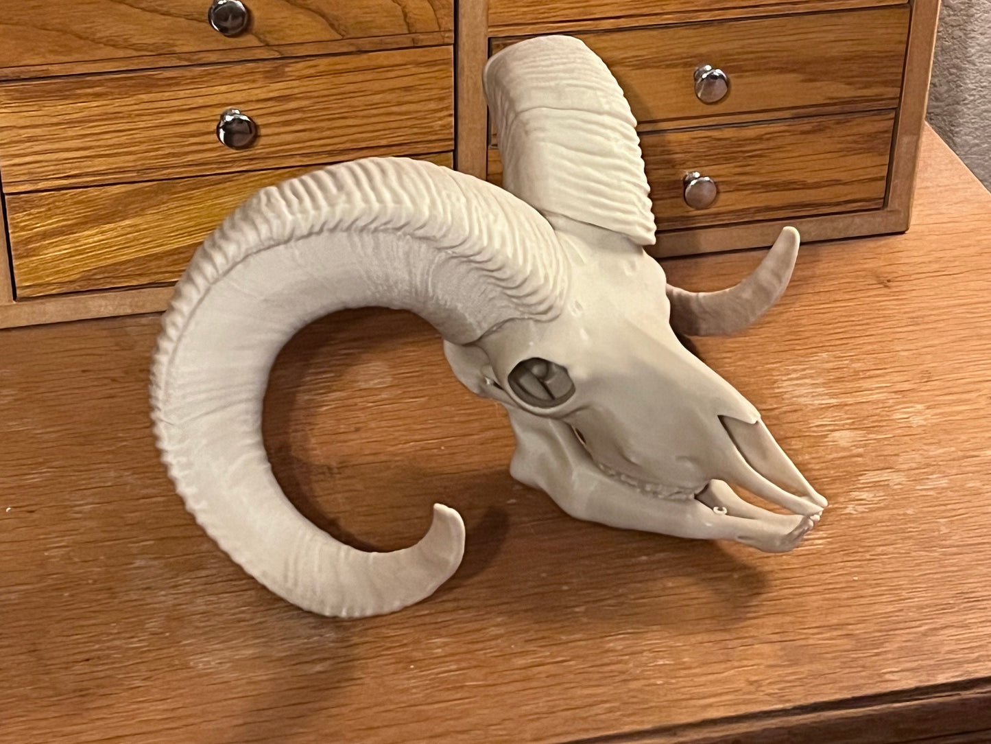 10 inch 3D Printed Bighorn Sheep Skull
