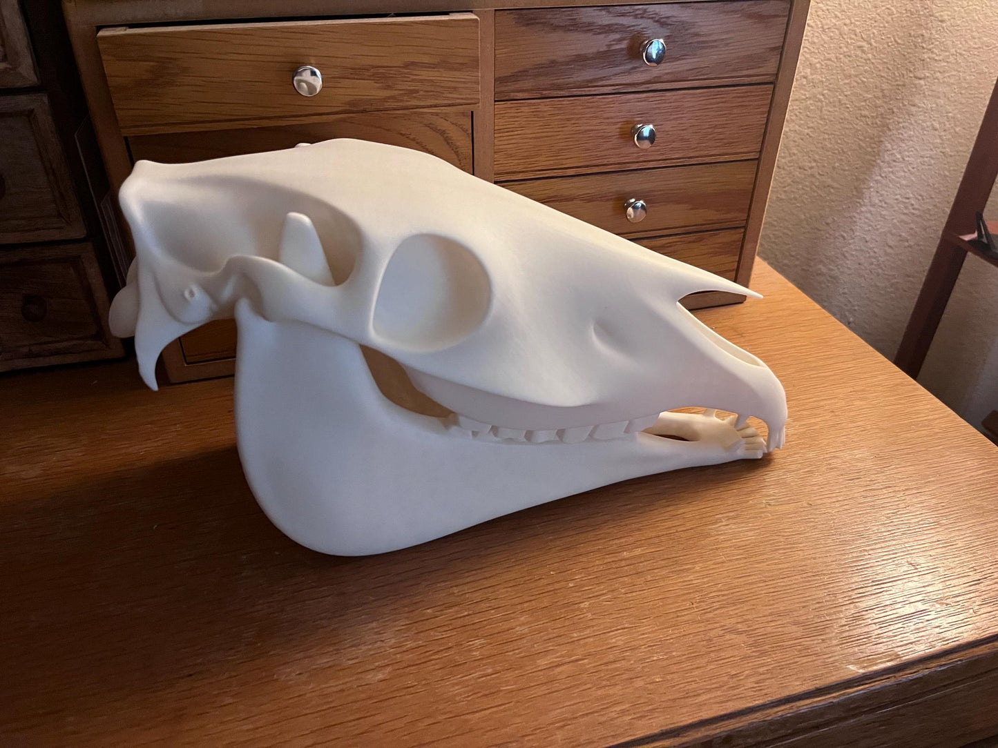 Extra Large 3D Printed Horse Skull