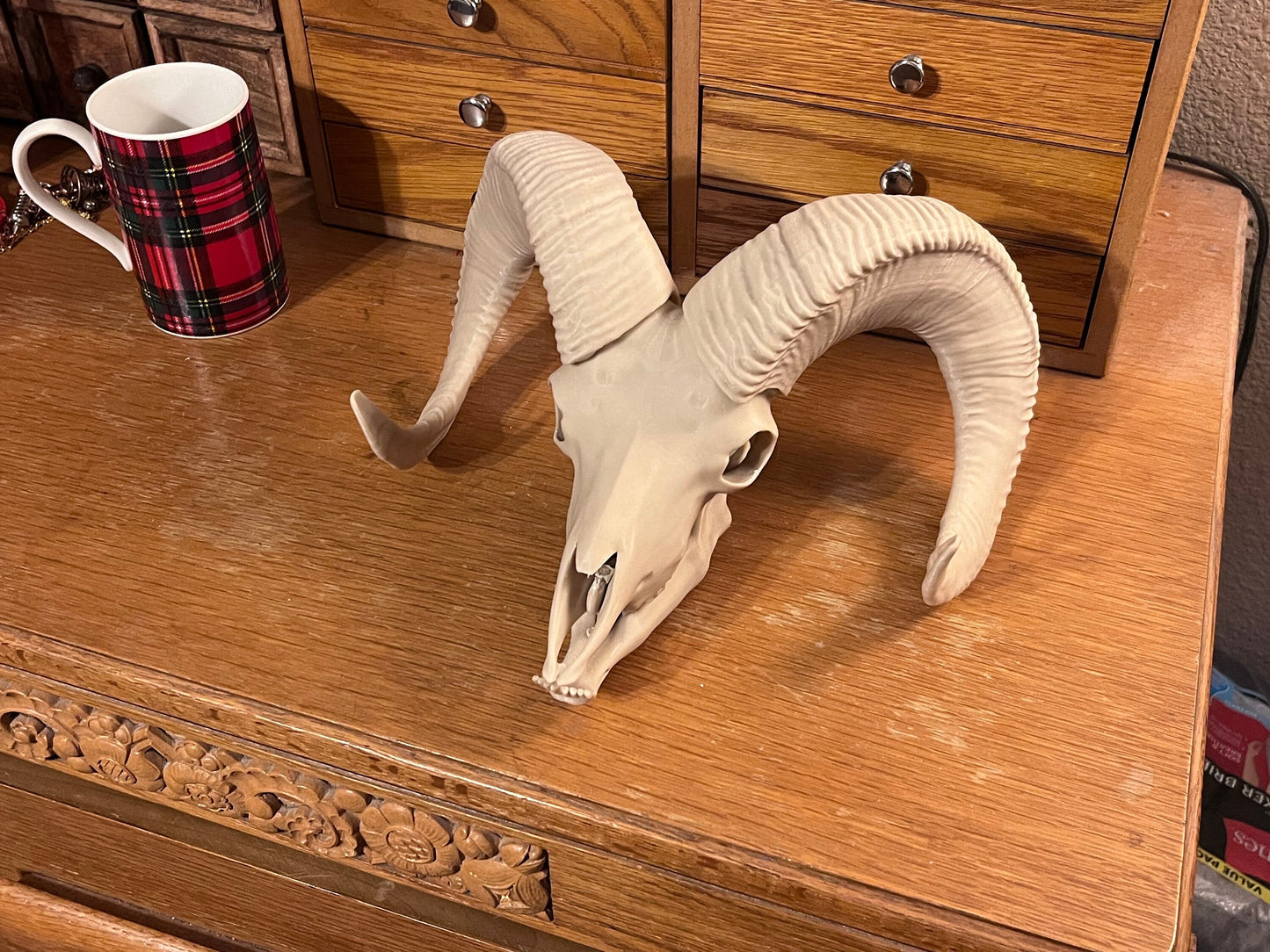 10 inch 3D Printed Bighorn Sheep Skull