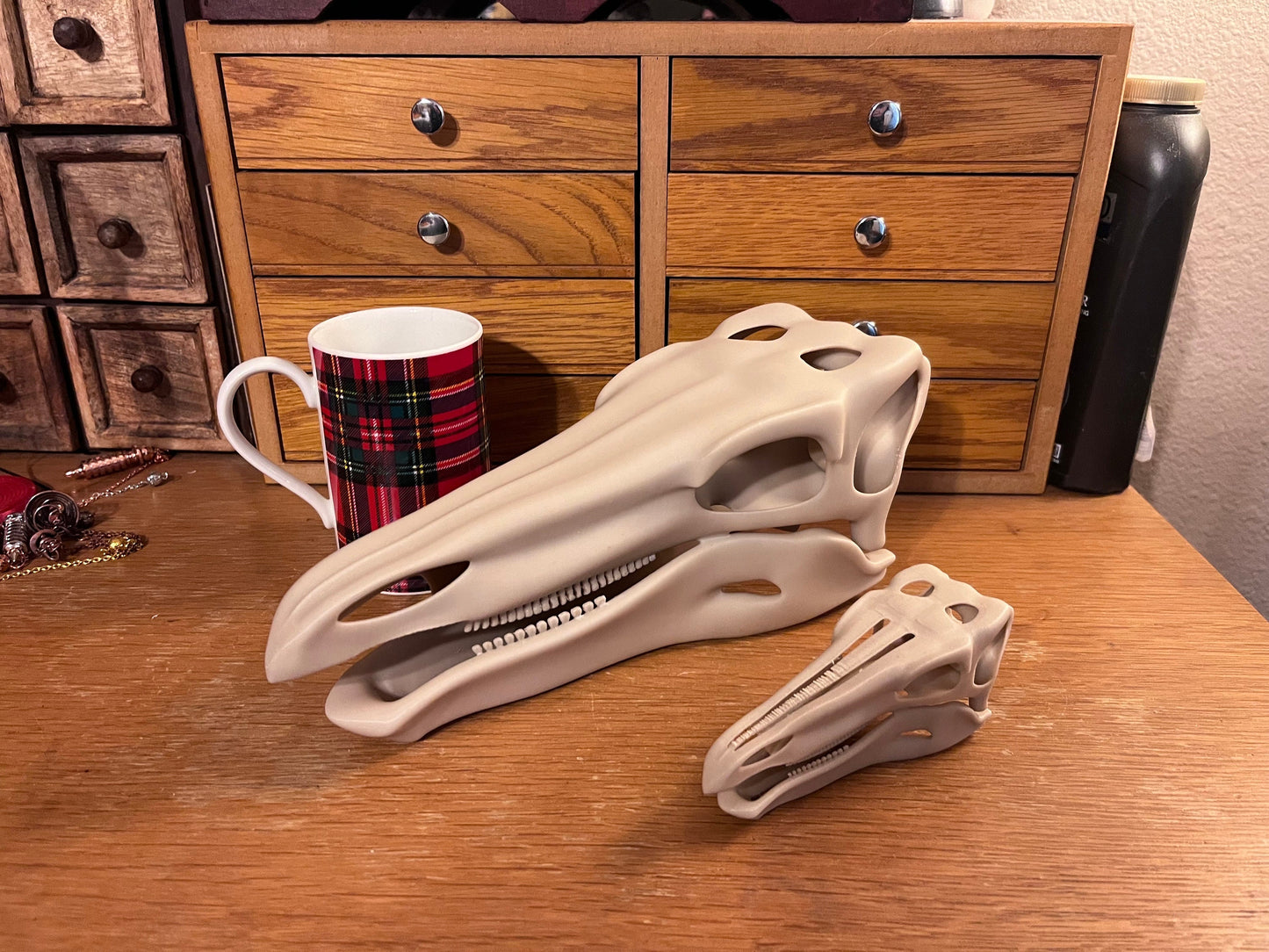 10 inch 3D Printed Stegosaur Skull