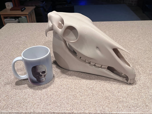 Extra Large 3D Printed Horse Skull