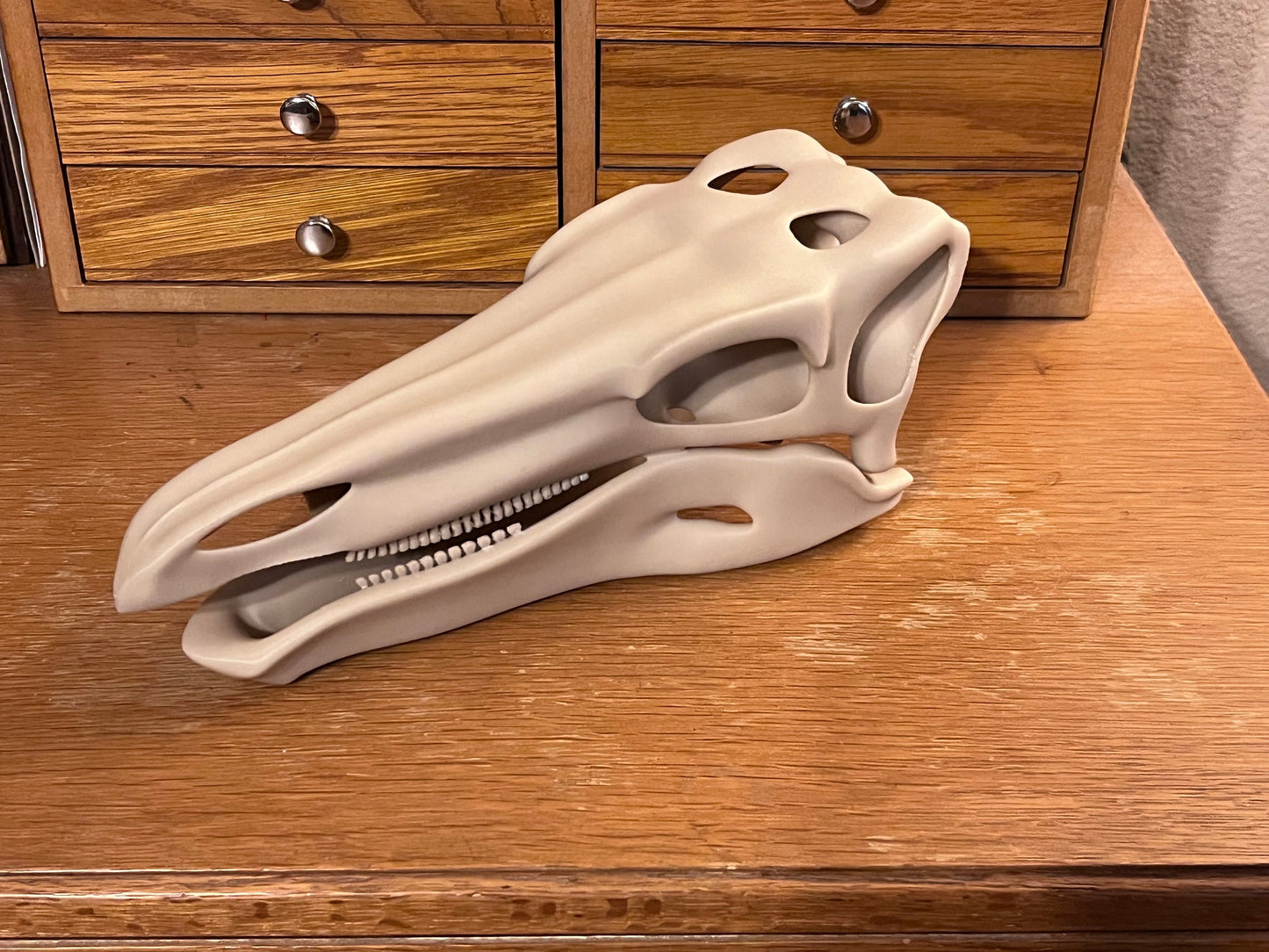 10 inch 3D Printed Stegosaur Skull